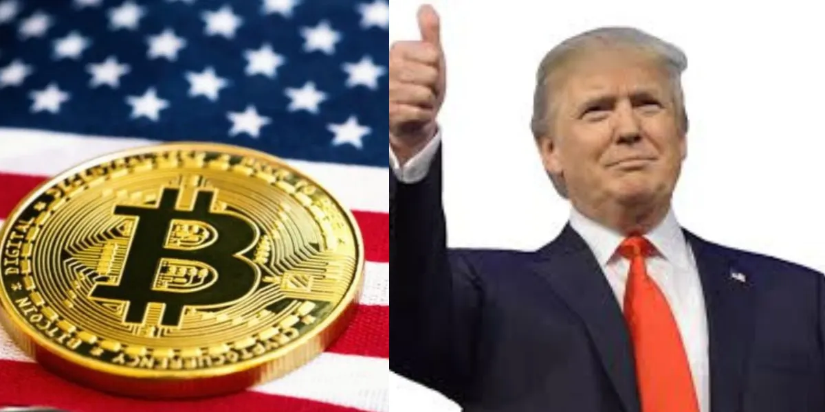 Donald_BTC Price impact